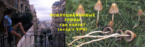 прущая мука Каменка
