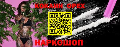 стафф Владимир
