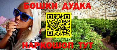 стафф Владимир