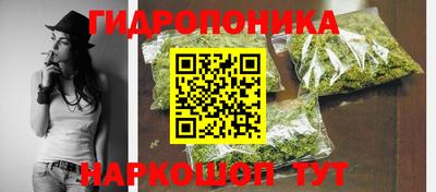стафф Владимир